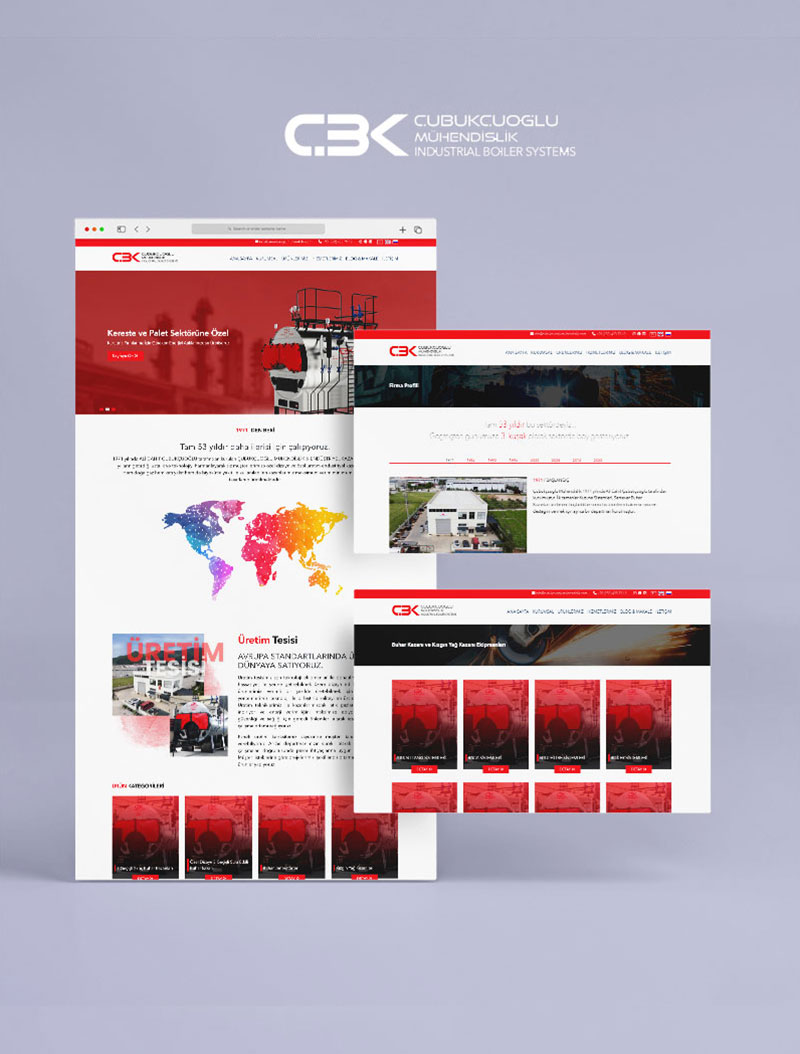 Onur Şevik - Senior Software Developer