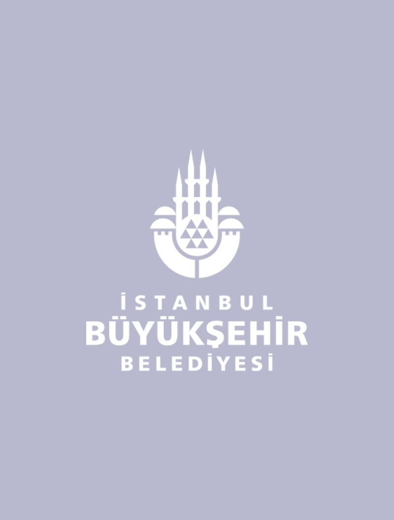 Onur Şevik - Senior Software Developer