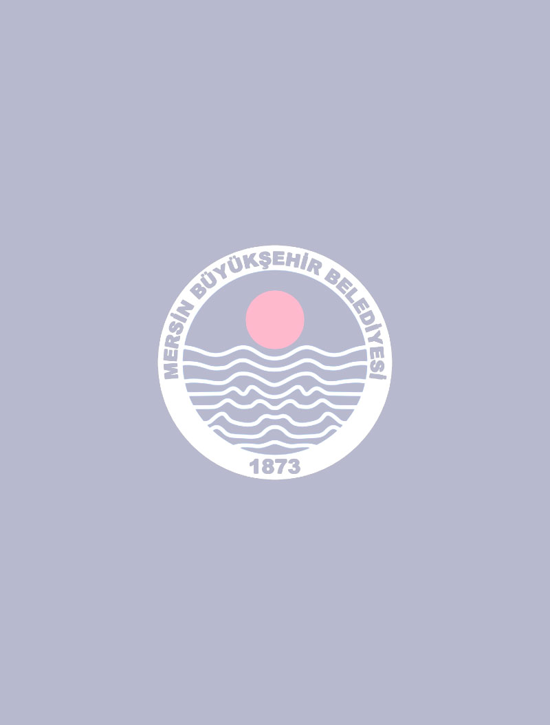 Onur Şevik - Senior Software Developer